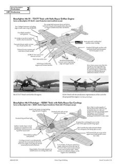 Bristol Beaufighter, Valiant Wings