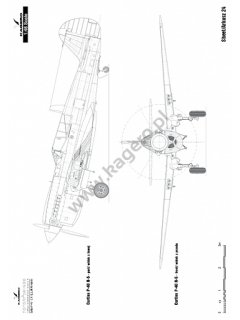 Curtiss P-40 F,K,L,M,N models, Topdrawings 37, Kagero