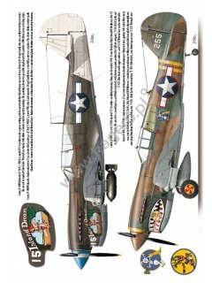 Curtiss P-40 F,K,L,M,N models, Topdrawings 37, Kagero