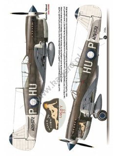 Curtiss P-40 F,K,L,M,N models, Topdrawings 37, Kagero