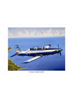 Aviation Art Painting T-6A TEXAN II (50 Years HAF 361st Air Training Squadron) - Medium size Print