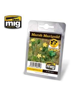 Marsh Marigold