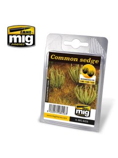 Common Sedge