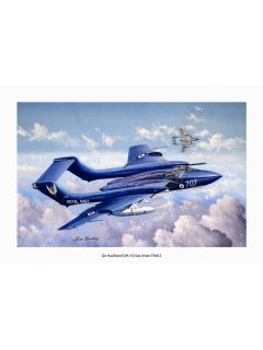 Ζωγραφικός Πίνακας DH.110 Sea Vixen - Αντίγραφο σε αφίσα, Κώστας Καββαδίας