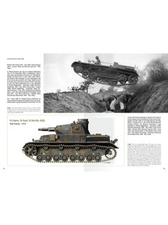 Panzerdivisionen, Abteilung 502