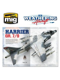 The Weathering Aircraft 12