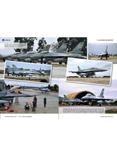 F-16: 30 Years in HAF Service, Icarus Workshop