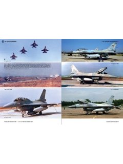 F-16: 30 Years in HAF Service, Icarus Workshop