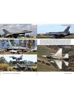 F-16: 30 Years in HAF Service, Icarus Workshop