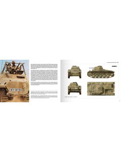 Panzerwaffe Tarnfarben, Abteilung 502