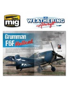 The Weathering Aircraft 14