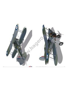 Gloster Gladiator Mk I and II (And Sea Gladiator), Kagero