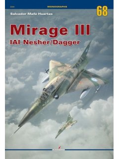 Mirage III, IAI Nasher/Dagger, Kagero