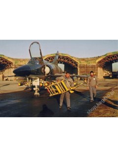 Mirage III, IAI Nasher/Dagger, Kagero