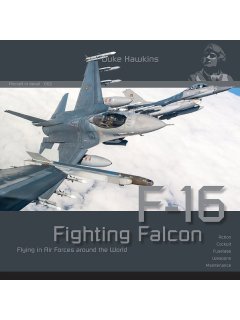 Duke Hawkins 002: F-16