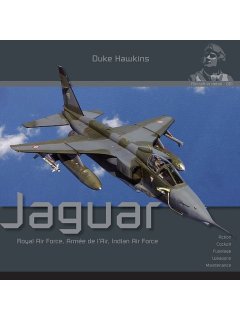 Duke Hawkins 001: Sepecat Jaguar