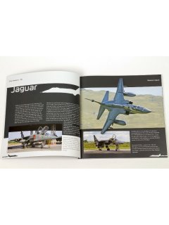 Duke Hawkins 001: Sepecat Jaguar