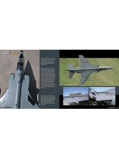 Duke Hawkins 001: Sepecat Jaguar