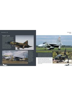 Viggen, Duke Hawkins 007