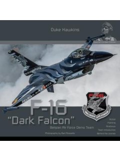 F-16 Dark Falcon