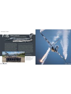 F-16 Dark Falcon