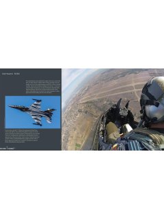 F-16 Dark Falcon