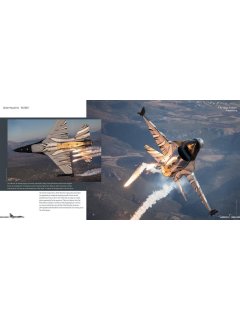 F-16 Dark Falcon