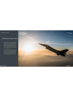 F-16 Dark Falcon