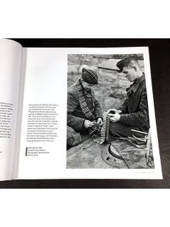 Unternehmen Ilse: 5. SS-Panzer Division Wiking, RZM Publishing