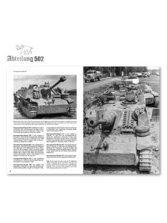 Sturmgeschutz, Abteilung 502