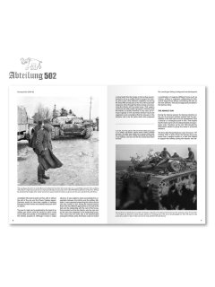 Sturmgeschutz, Abteilung 502