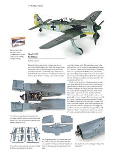 Fw 190, Valiant Wings