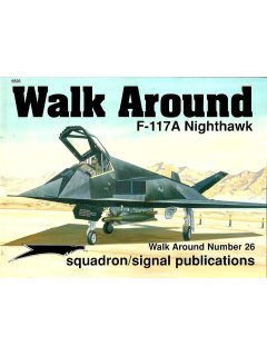 F-117A Nighthawk Walk Around