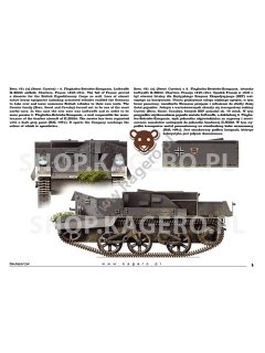Beutepanzer, Topcolors 41, Kagero