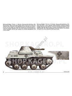 Beutepanzer, Topcolors 41, Kagero