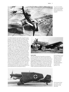 Ju 87 Stuka, Valiant Wings