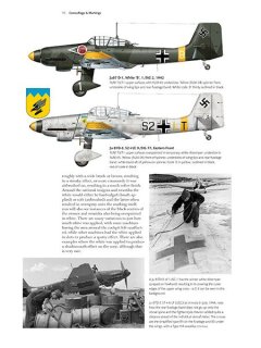 Ju 87 Stuka, Valiant Wings