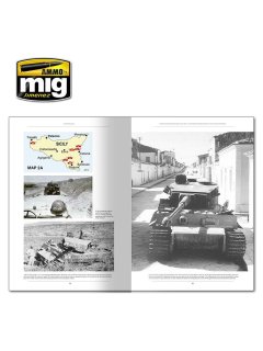 Italienfeldzug - German Tanks and Vehicles 1943-1945 Vol. 1, AMMO