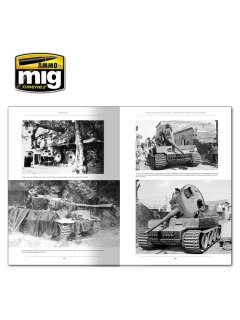 Italienfeldzug - German Tanks and Vehicles 1943-1945, AMMO