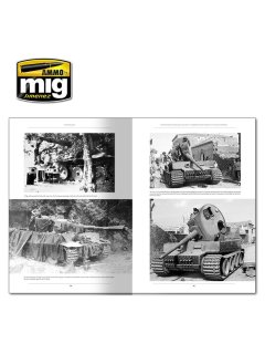 Italienfeldzug - German Tanks and Vehicles 1943-1945, AMMO