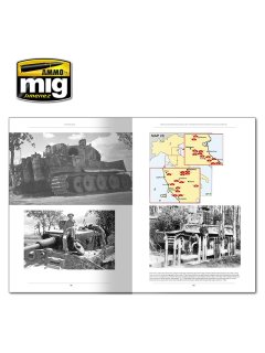 Italienfeldzug - German Tanks and Vehicles 1943-1945, AMMO