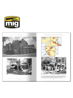 Italienfeldzug - German Tanks and Vehicles 1943-1945 Vol. 1, AMMO