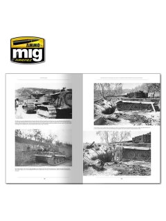 Italienfeldzug - German Tanks and Vehicles 1943-1945 Vol. 1, AMMO