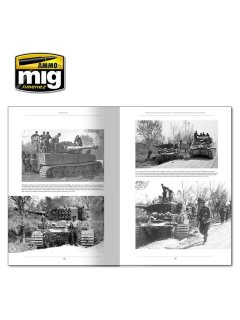 Italienfeldzug - German Tanks and Vehicles 1943-1945 Vol. 1, AMMO