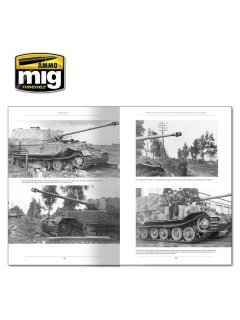 Italienfeldzug - German Tanks and Vehicles 1943-1945 Vol. 1, AMMO