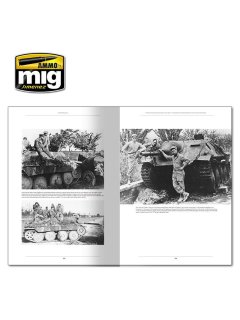 Italienfeldzug - German Tanks and Vehicles 1943-1945, AMMO