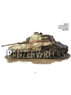 Panzerwrecks 21