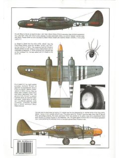 Northrop P-61 Black Widow & F-15 Reporter, MBI