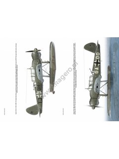 Arado Ar 196, Kagero