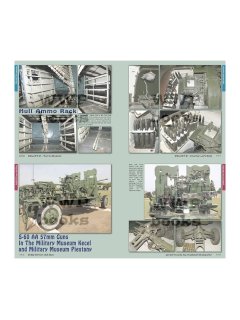 T-54 Chassis-based Vehicles, WWP